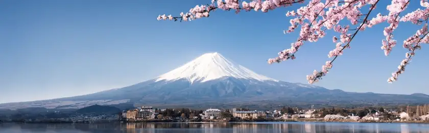 Study in Japan